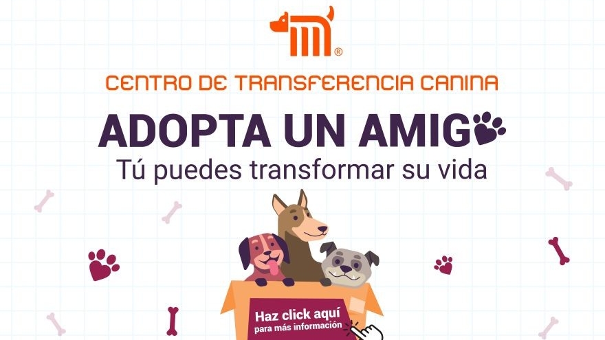 Centro de Transferencia Canina